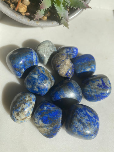 Lapis Lazuli Tumbles - Milky Way Creations - Sydney - Crystal - Crystals - Candles - Soap - Howlite - Amethyst - Ethically Sources - Stones - gemstones - wholesale - amazonite